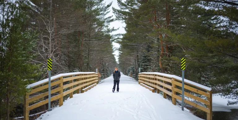 A person walking on the Rail Trail in the winter