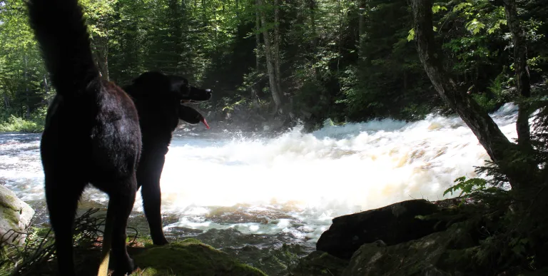 Pa Falls