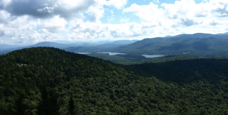The mountain is in a lush lake area.