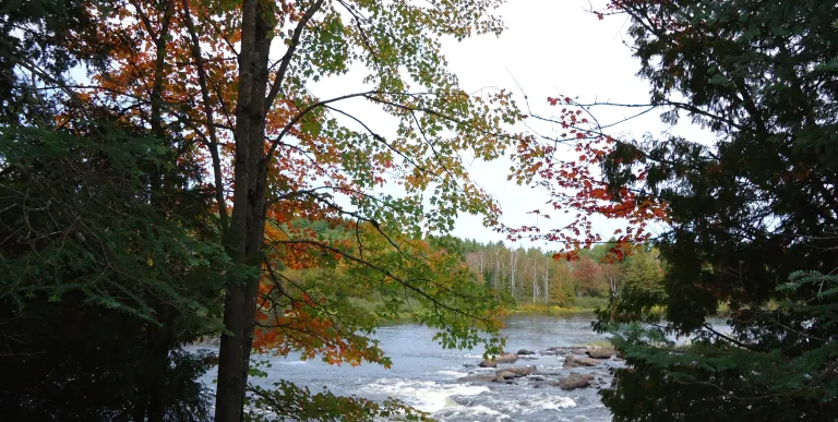 A look at Moody Falls through the trees