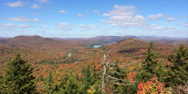 A wonderful way to enjoy Adirondack fall foliage.