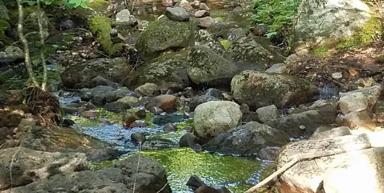 Fish Pond Truck Trail is a pond wonderland.