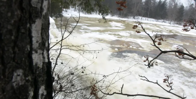 Basford Falls is an easy