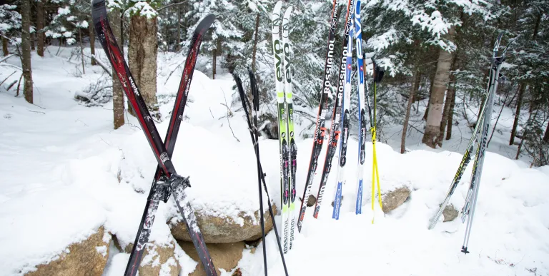 This is an easy trek in winter.