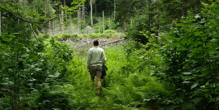 Vary the distance along this new hike.