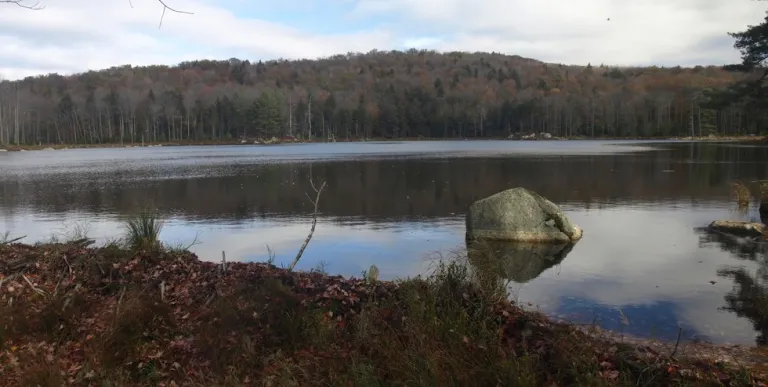 A reflecting pond with a large rock in it