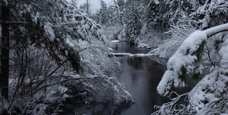 The Sheep Meadow trail has lovely scenery