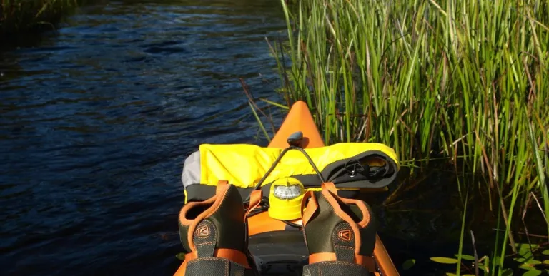 Kayakers in a grassy river