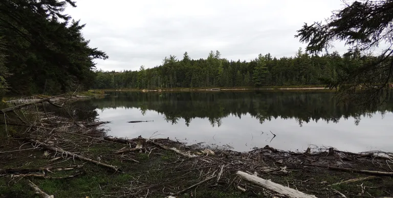 A trail circles the lake for brook trout fishing from the shore.