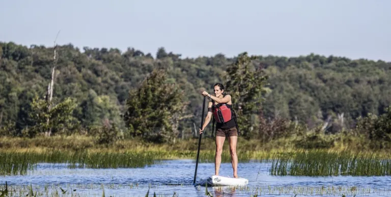 The many wetlands on this paddle are easily explored with the right watercraft.