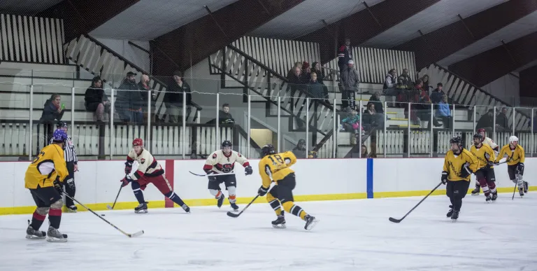 Hockey players on the ice