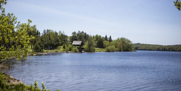 A large pond with some houses on the shore