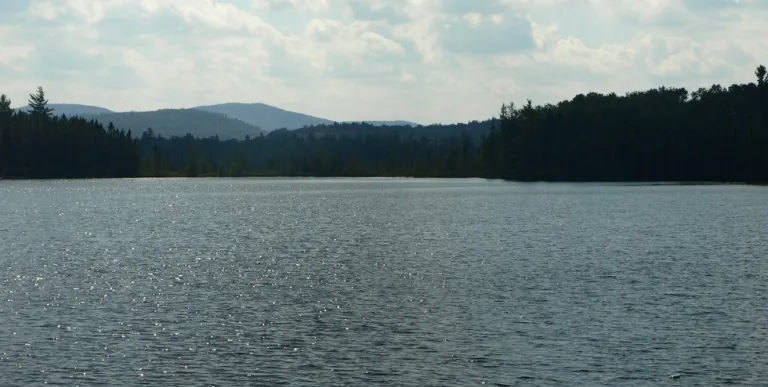 A medium-sized pond with mountain views