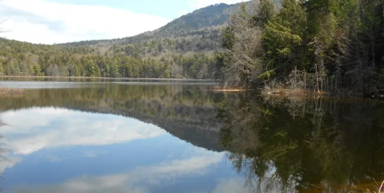 Scenic shoreline of Stony Creek Pond.