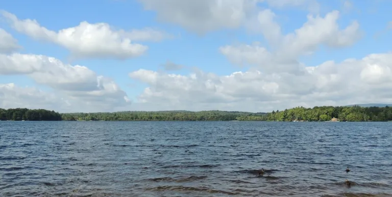 A large pond during the day