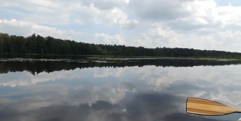 Paddling on a calm pond
