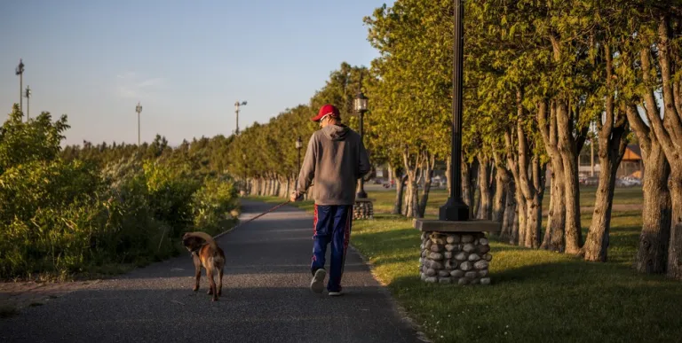 Take a scenic stroll along the Waterfront Walkway.