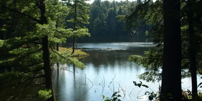 Horseshoe Pond is a calm flatwater paddle.