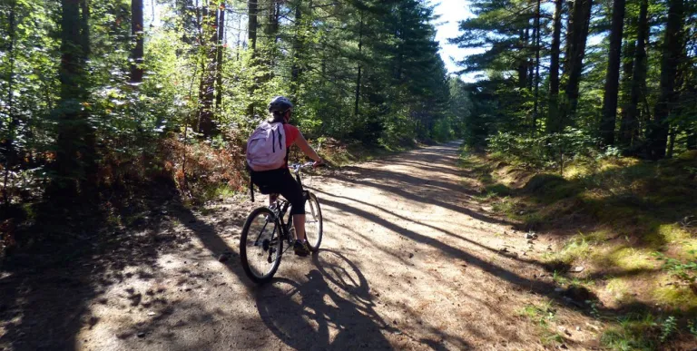 A gravel biker riding down the road