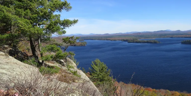 A summer view of Lake Lila from a rocky outcrop with pines.