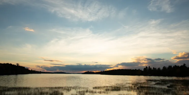There are wetlands to paddle near on Lake Lila.