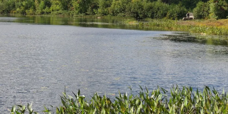 A variety of wetlands and different habitats to photograph wildlife.