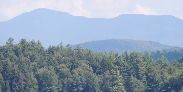The view of mountains from Simon Pond.
