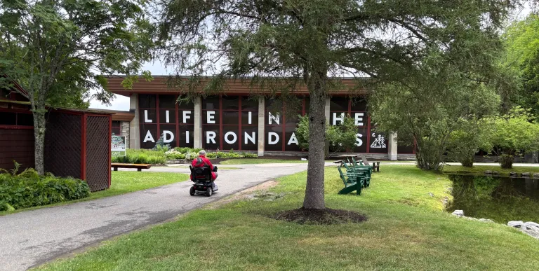 A close up image of some hand crafted chairs from centuries past.