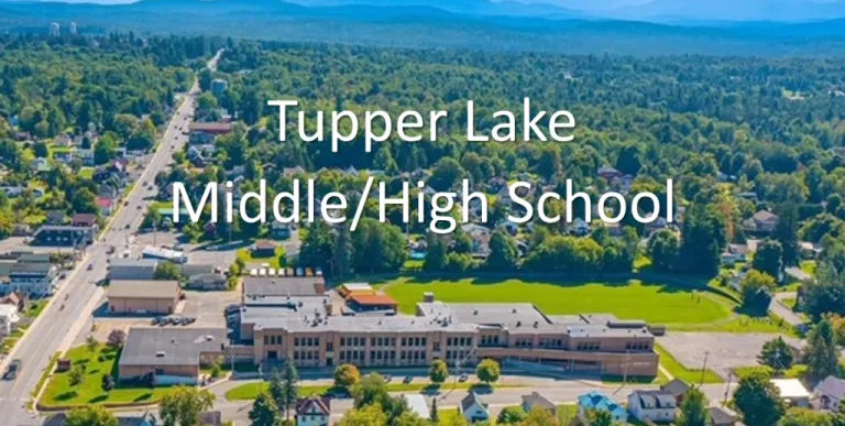 Aerial view of the school and grounds.