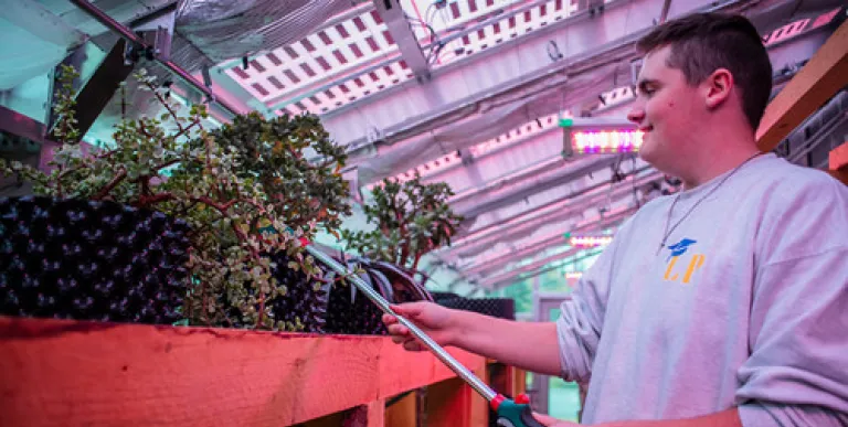 Students tend to plants in the greenhouse.