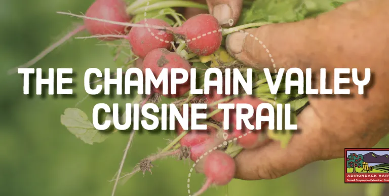 A banner that reads: Champlain Valley Cuisine Trail.