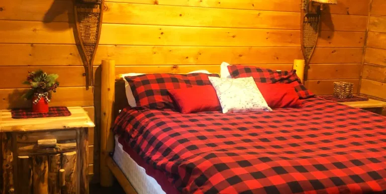 The wooded outdoor space at Rockledge Cabins & Retreats 