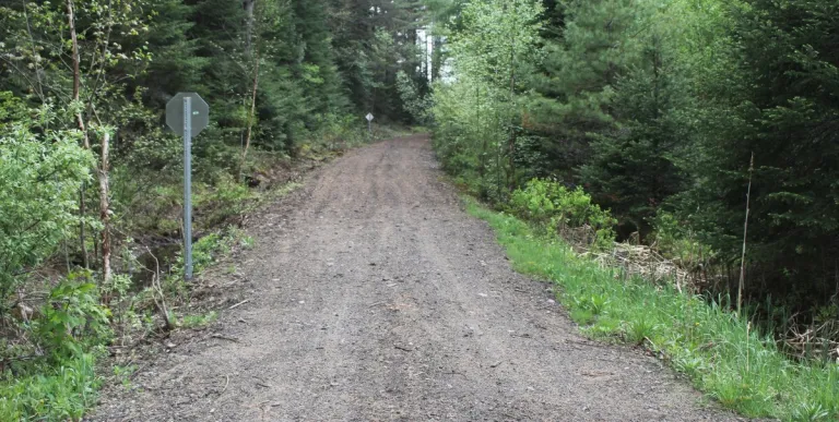 Dirt road leading to the rustic retreat at Rockledge Cabins & Retreats.