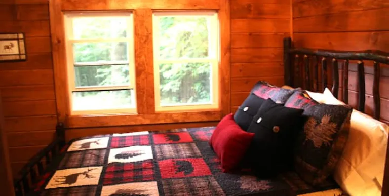 The Lake Clear beach with fallen trees and glass like waters.