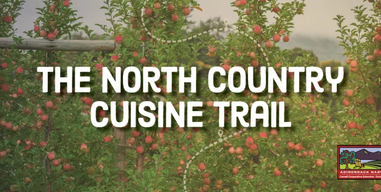 north country cuisine trail