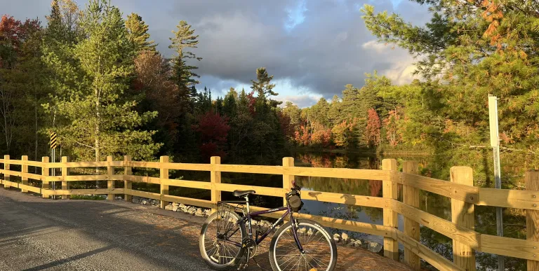 A bike on the rail trail by a pond.
