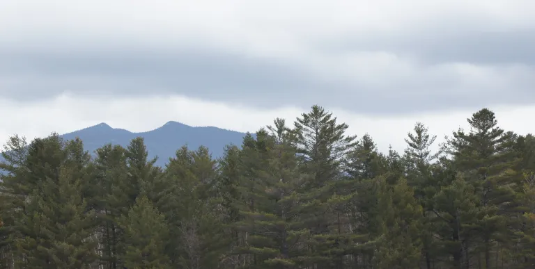 Mountain views.